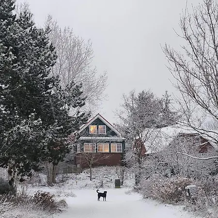 Haus Seeschwalbe Spiekeroog